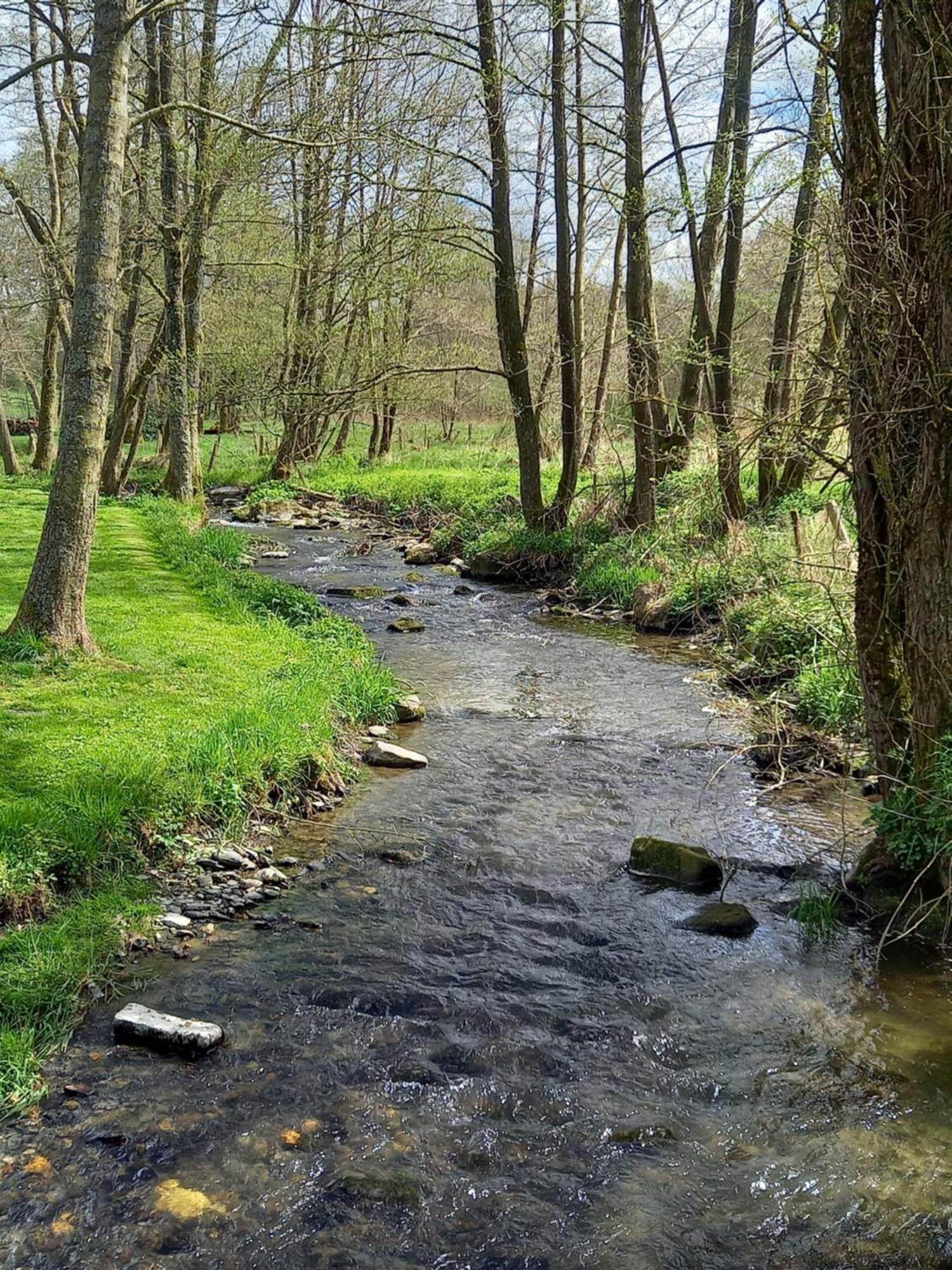 Gite Citadin 3 Epis "Carpe Diem" Villa Bastogne Szoba fotó