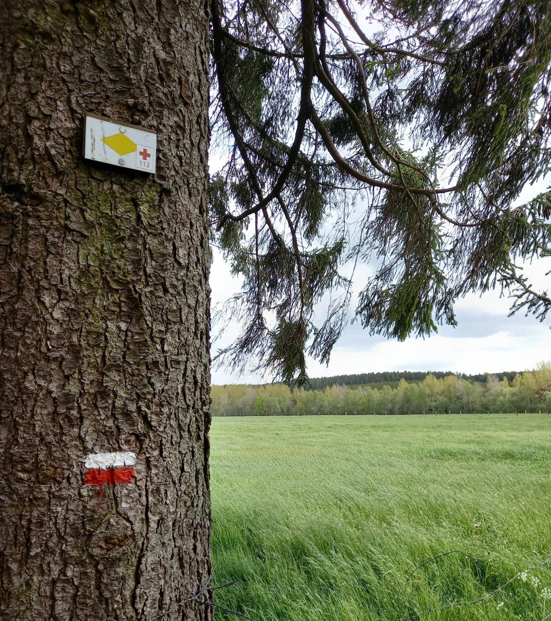 Gite Citadin 3 Epis "Carpe Diem" Villa Bastogne Szoba fotó
